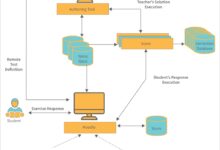 system justification